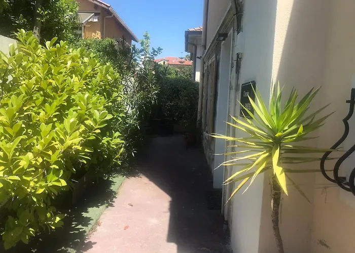 Mon Reve Apartements