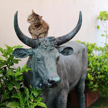 Nocleg ze śniadaniem Mon Reve Apartements Nicea